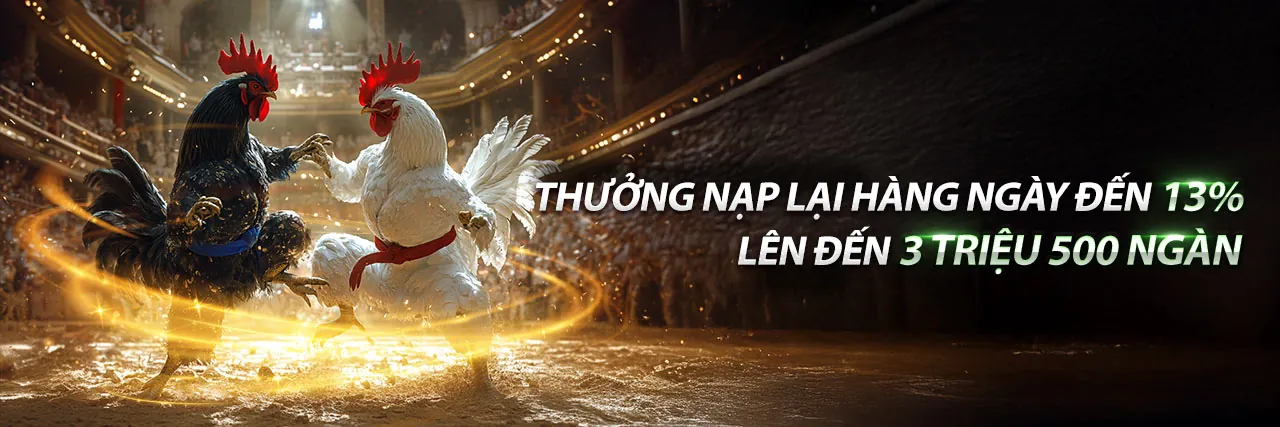 Đá Gà Philippines Trực Tiếp